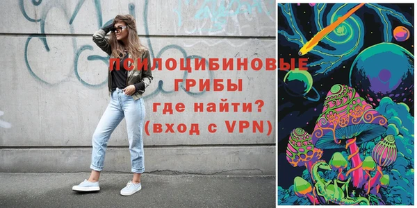 2c-b Ладушкин
