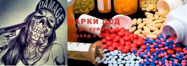 сатива Алексеевка