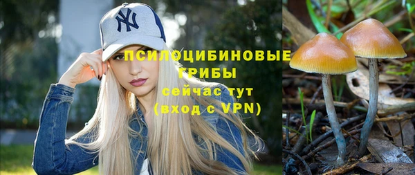 сатива Алексеевка