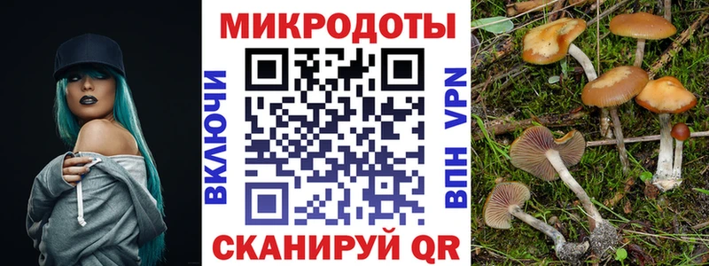 Галлюциногенные грибы GOLDEN TEACHER  Амурск 