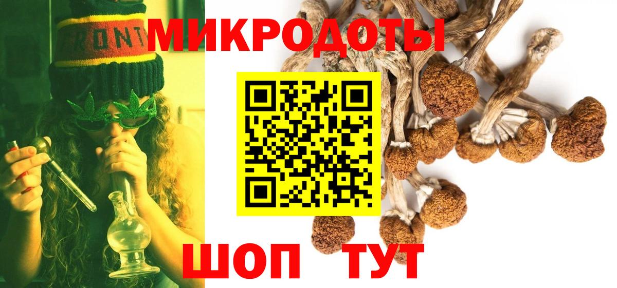 Амурск  Псилоцибиновые грибы Psilocybe  Вход с VPN 