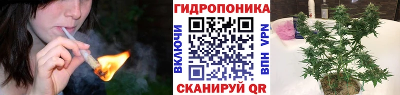 Шишки марихуана White Widow Амурск
