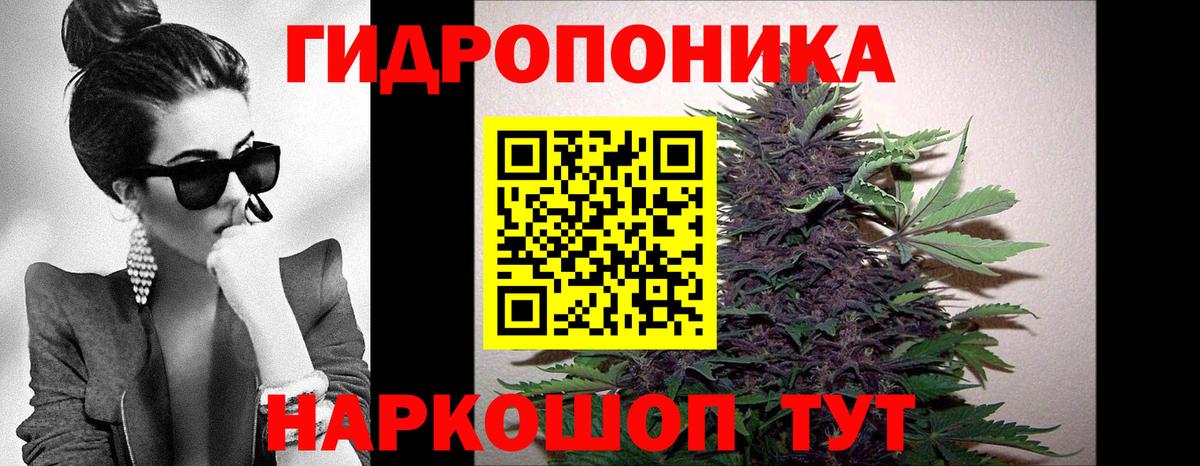 Канабис индика Амурск
